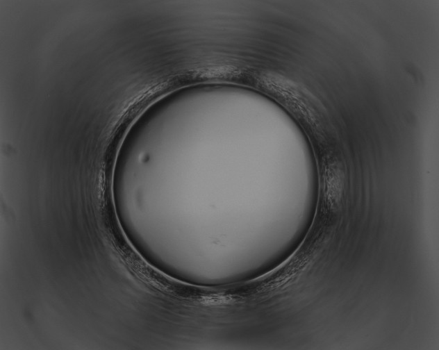 X0000090500591200708031211