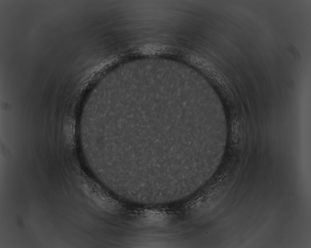 X0000090500592200708031211