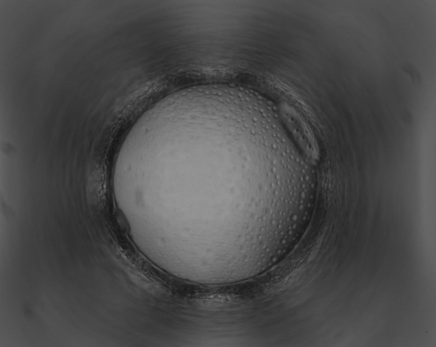 X0000090500593200708031211