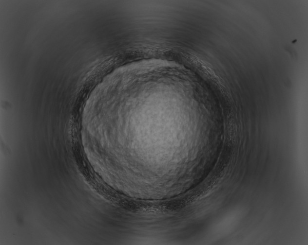 X0000090500594200708031211