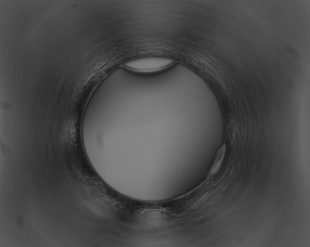 X0000090500595200708031211