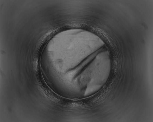 X0000090500596200708031211