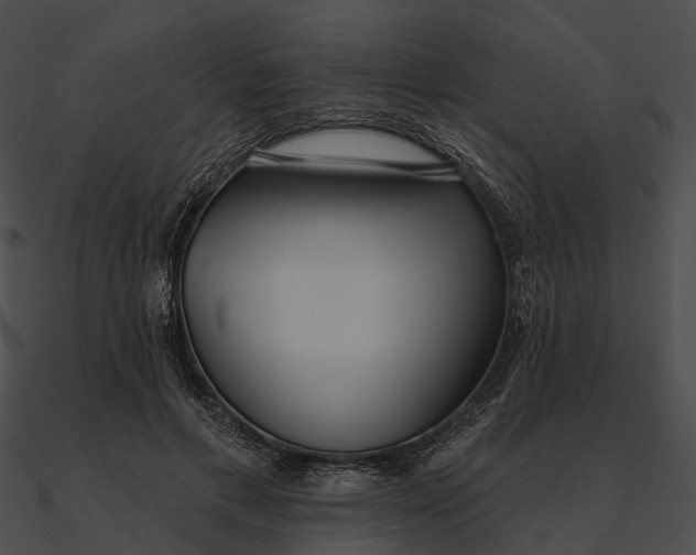 X0000090500597200708031211