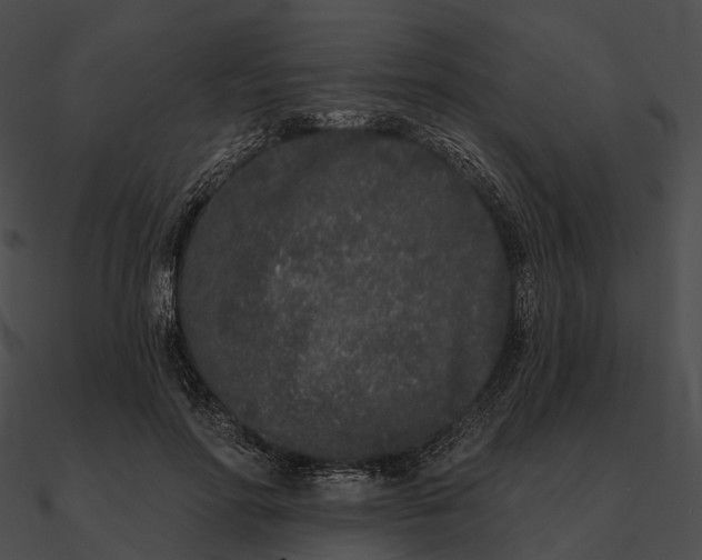 X0000090500598200708031211