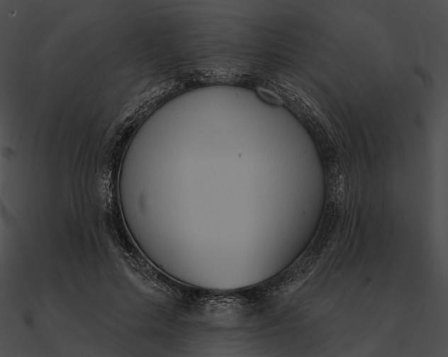 X0000090500599200708031211