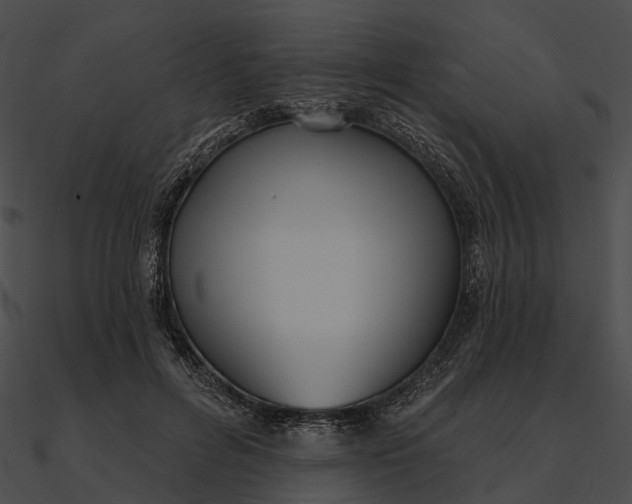 X0000090500600200708031211