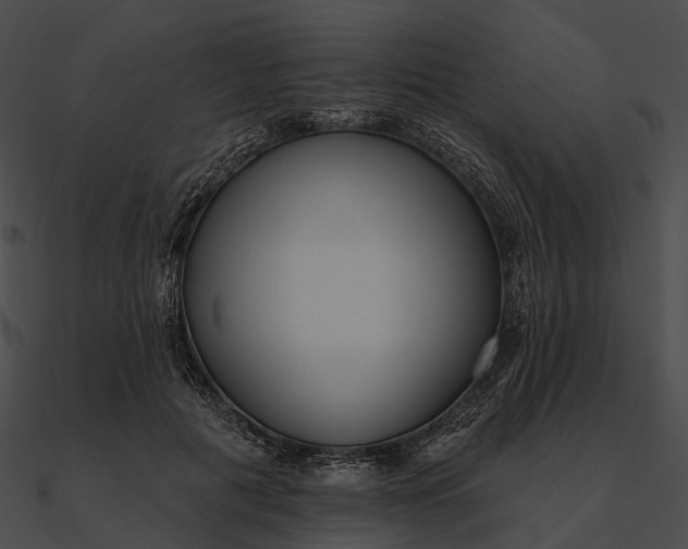 X0000090500601200708031210