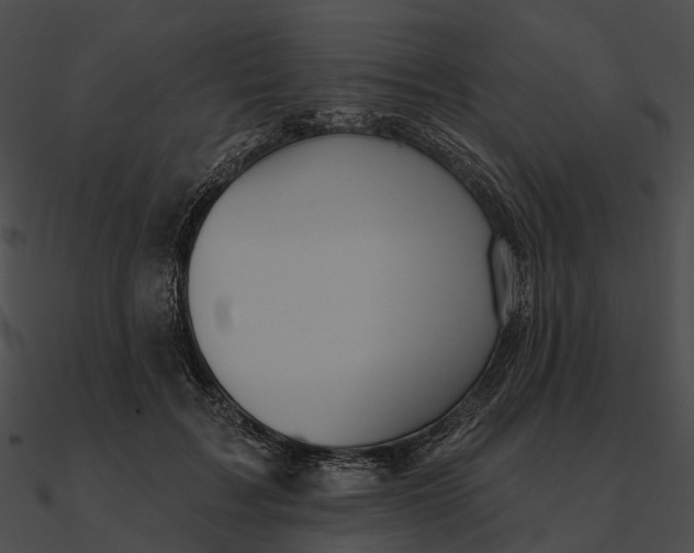 X0000090500603200708031210