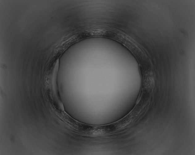 X0000090500604200708031210