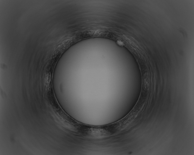 X0000090500605200708031210