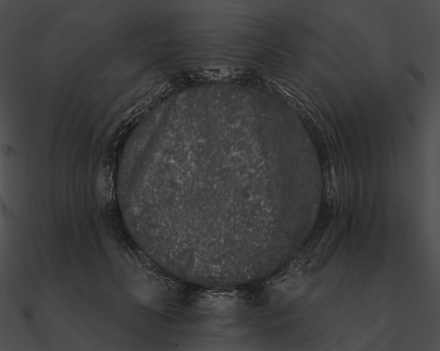 X0000090500606200708031210