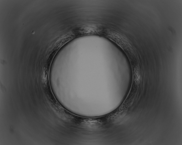 X0000090500607200708031210