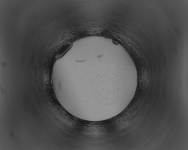 X0000090500608200708031210