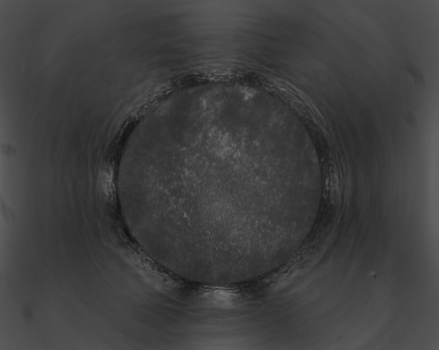 X0000090500610200708031210