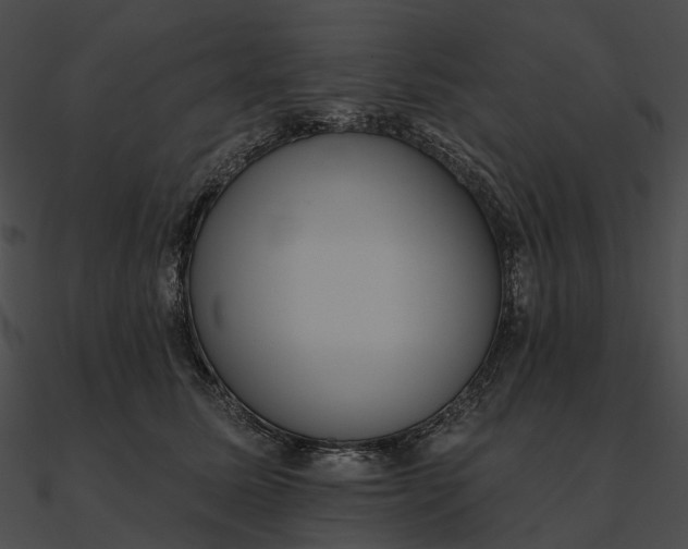 X0000090500611200708031210