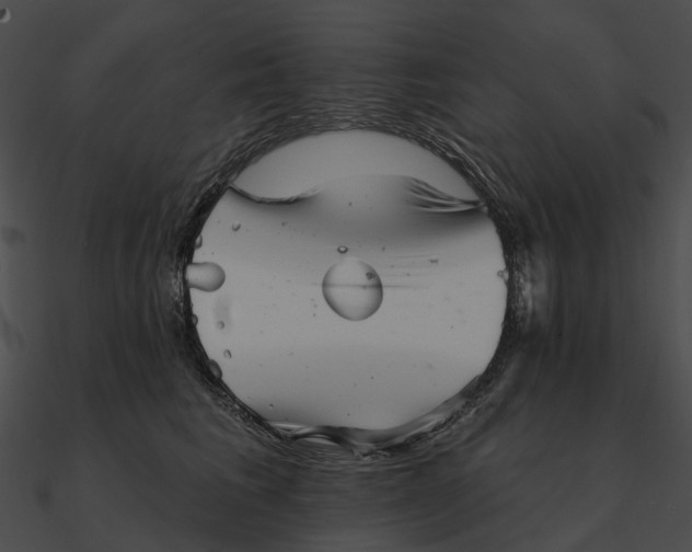 X0000090500613200708031210