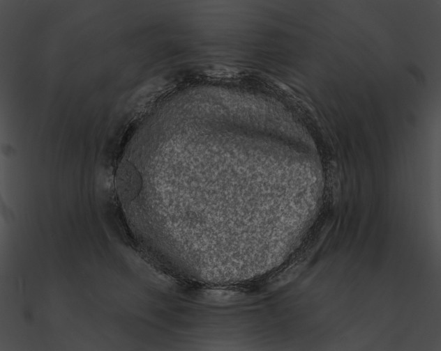 X0000090500614200708031210