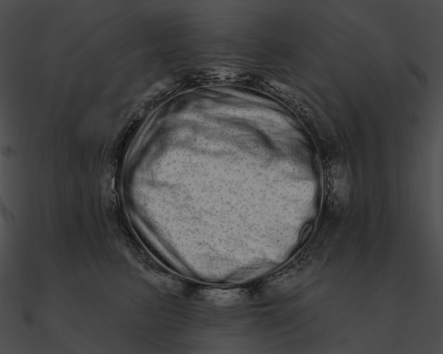 X0000090500615200708031210