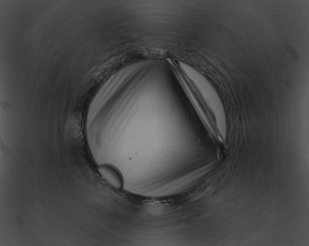 X0000090500616200708031210