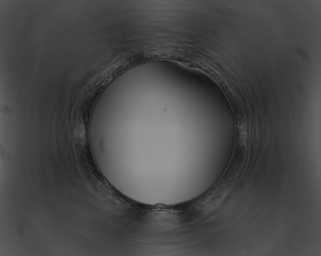 X0000090500617200708031210