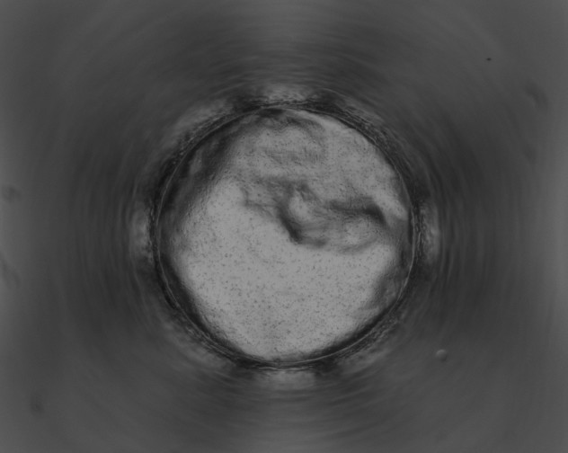 X0000090500619200708031210