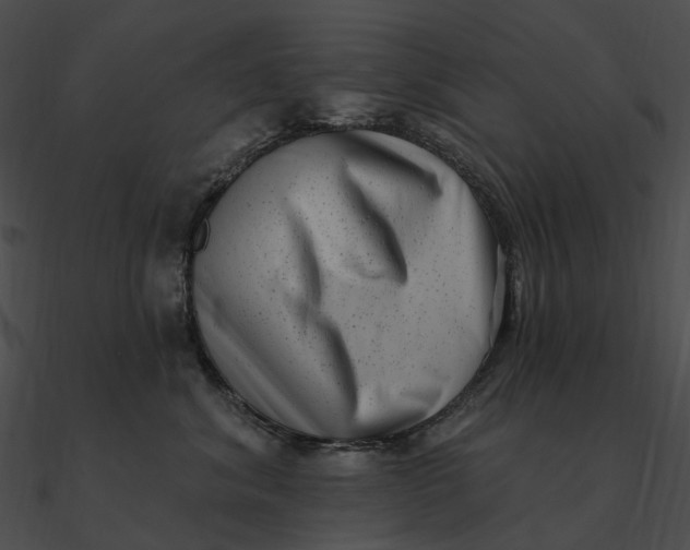 X0000090500620200708031210