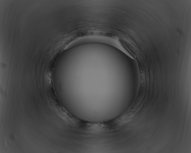 X0000090500621200708031210