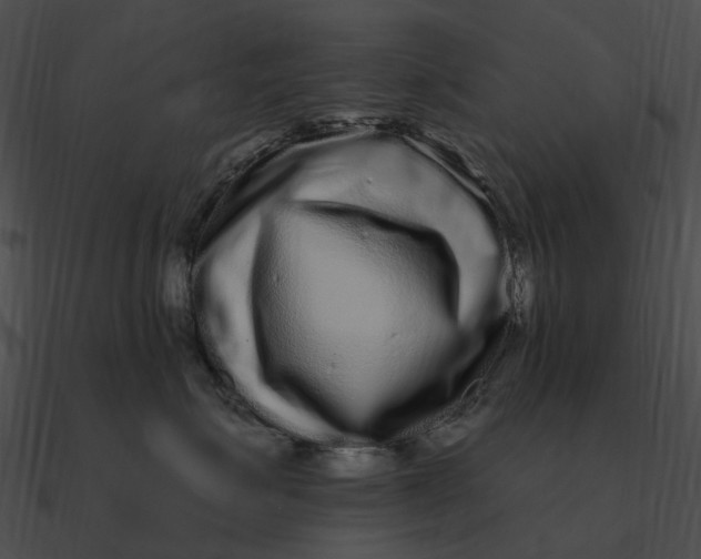 X0000090500623200708031210