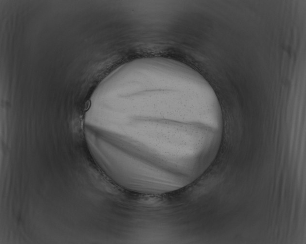 X0000090500624200708031210