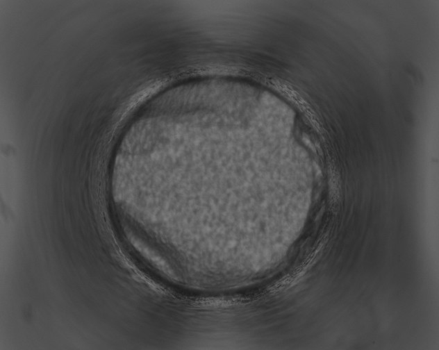 X0000090500625200708031210