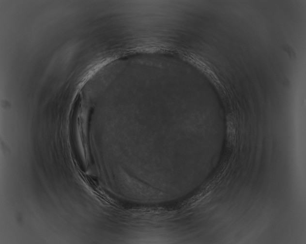 X0000090500626200708031210