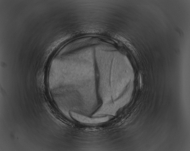 X0000090500627200708031210