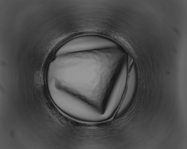 X0000090500628200708031210