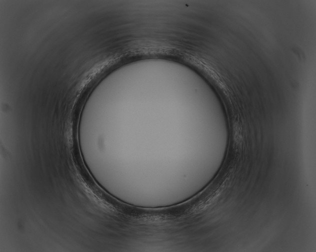 X0000090500629200708031210