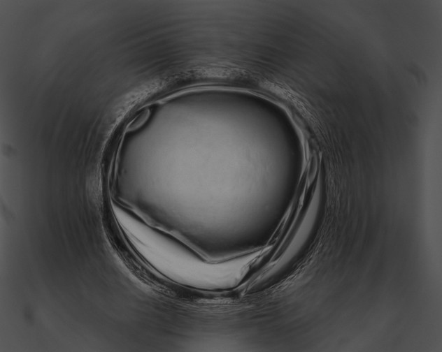 X0000090500630200708031210