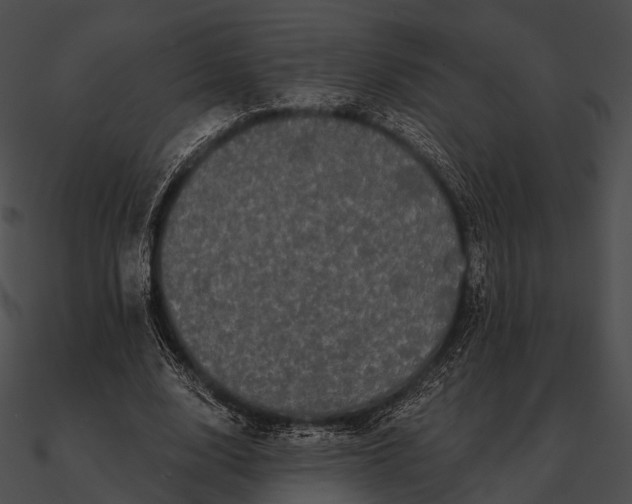 X0000090500632200708031210