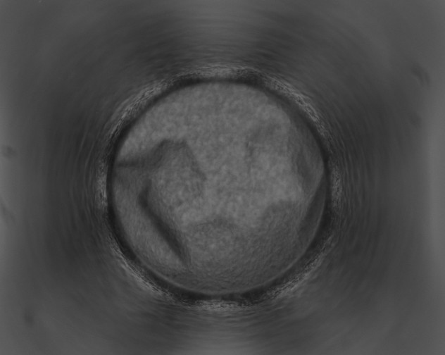 X0000090500633200708031210