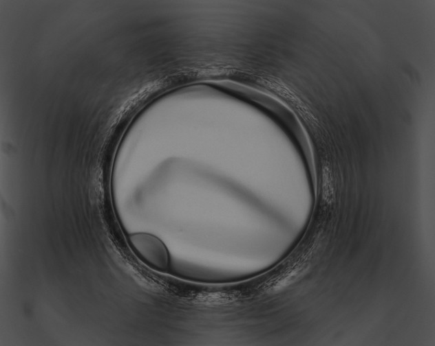 X0000090500634200708031210