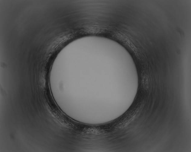 X0000090500635200708031210