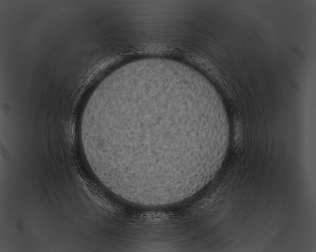 X0000090500636200708031210