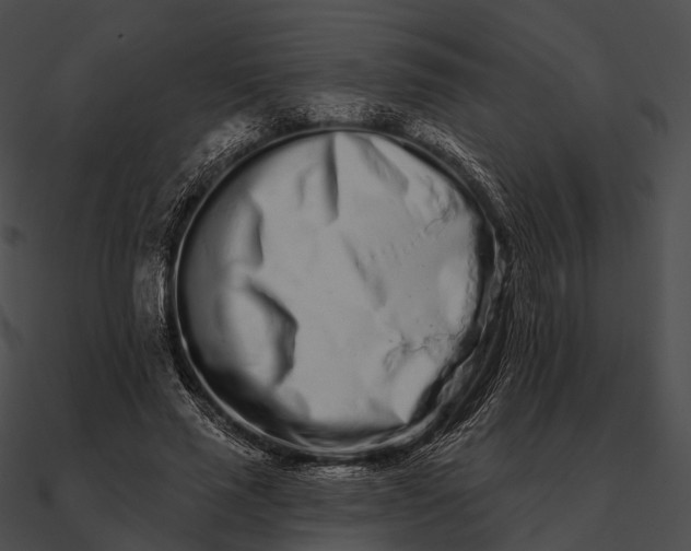 X0000090500637200708031210