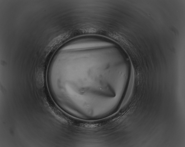 X0000090500638200708031210