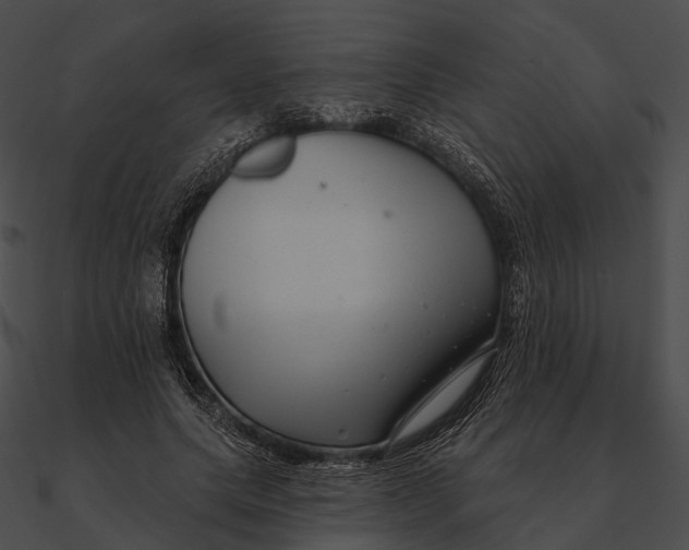 X0000090500639200708031210