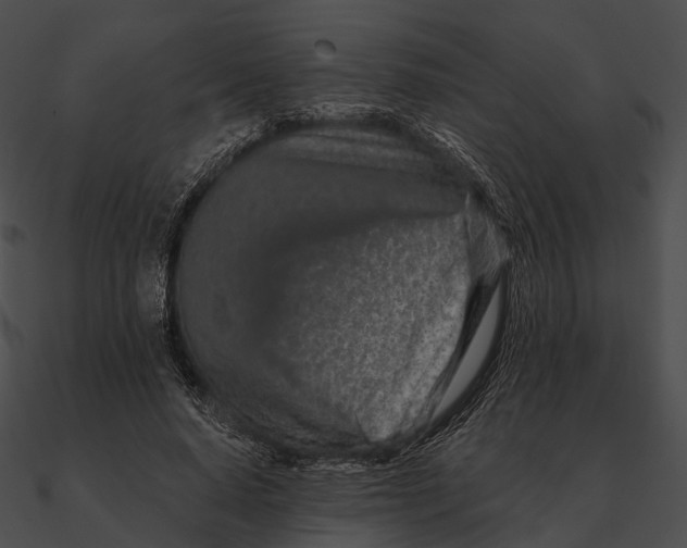 X0000090500640200708031210