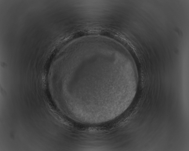 X0000090500641200708031210