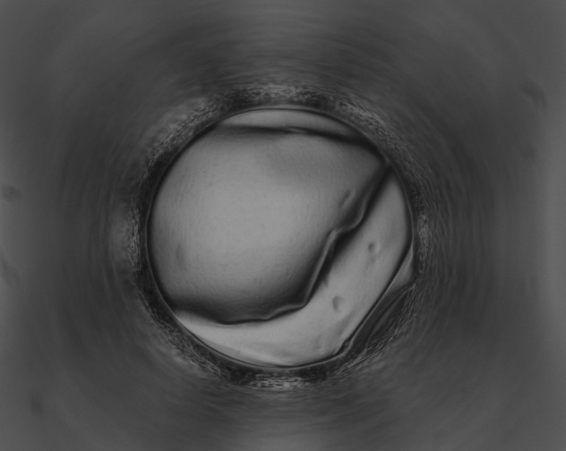 X0000090500642200708031210