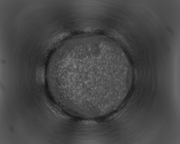 X0000090500644200708031210