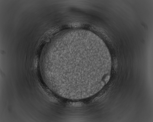 X0000090500645200708031210