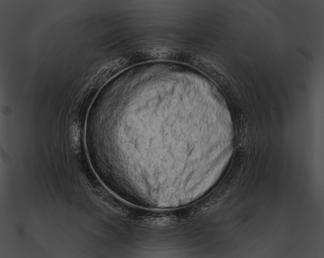 X0000090500646200708031210