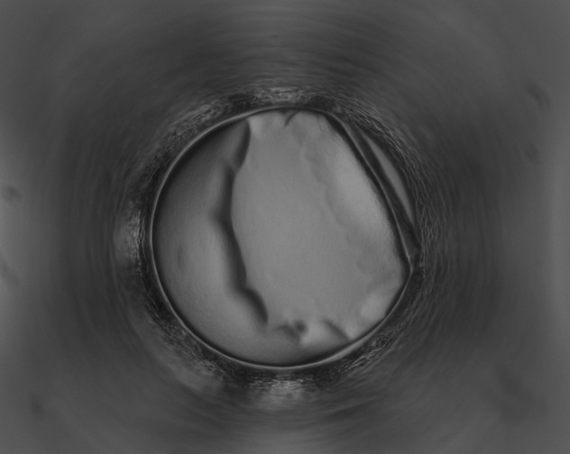 X0000090500647200708031210